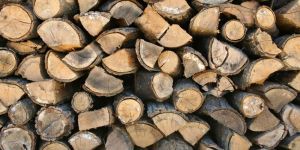 Firewood Logs