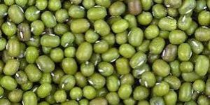 Moong Beans