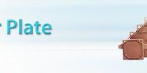 Gasketed Filter Plate