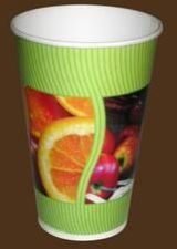 Paper Glass