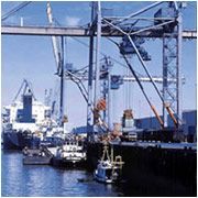 Ocean Freight Service