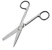 Surgical Scissor
