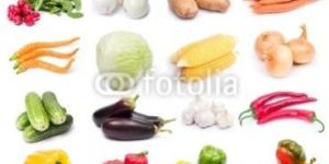 Fresh Vegetables