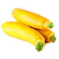 Yellow Zucchini