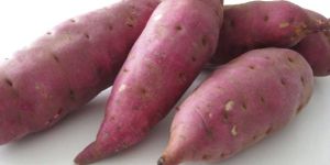 Sweet Potato