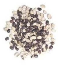 Urad Daal (With Skin)