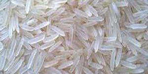 Non Basmati Rice