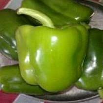 Green Capsicum Seeds