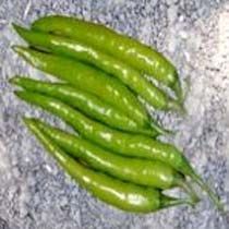 Green Chilli Seeds