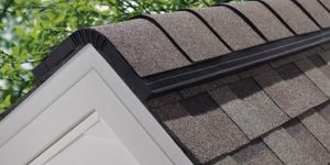 Ridge Vent