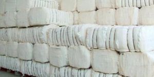 Cotton Bales