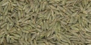 Cumin Seeds