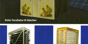 Poultry Incubators