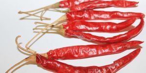 Red Chilli S-17