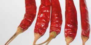 Red Chilli-341