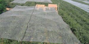 Anti Hailstone Net