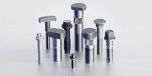 Special Cold Forging Components