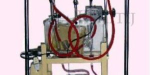 Mammalian Heart Perfusion Assembly