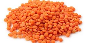 Masoor Dal