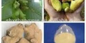 Tannic Acid Food Grade (YGMF - II)