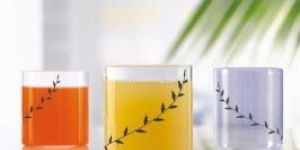 Borosil Vision Glasses