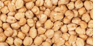 Chickpeas Seeds