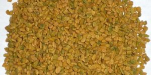 Fenugreek Seeds
