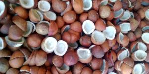 Coconut Copra