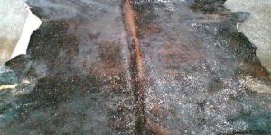 Printed Rawhide Salted Leather