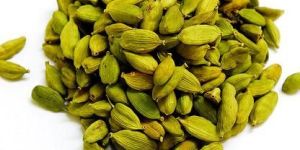 Green Cardamom