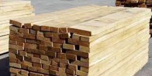 Oak Wood Logs