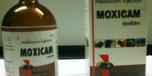 Moxicam Injectable