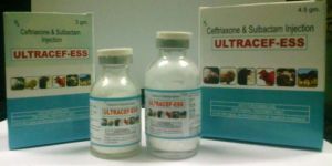 Ultracef-Ess Injectable