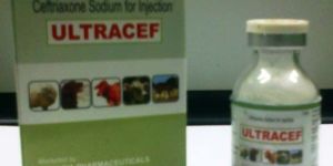 Ultracef Injectable