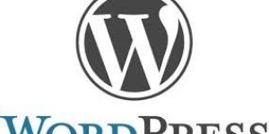 Wordpress Customization Services