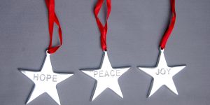 Aluminium Christmas Item