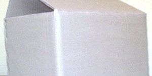 Overlap Slotted Carton