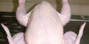 Frozen Chicken
