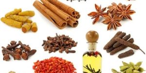 Indian Spices