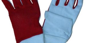 Wicket Keeping Inner Gloves