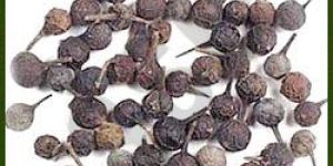 Cubeb Oil