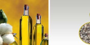 Cottonseed Oil