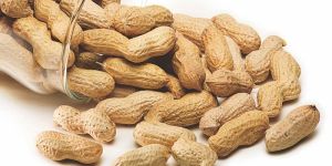 Shelled Groundnuts