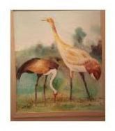 Acrylic Canvas Paintings