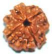Rudraksha Prayer Beads