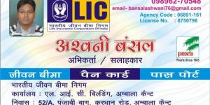Lic Insurance