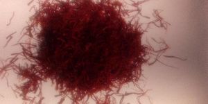 Saffron