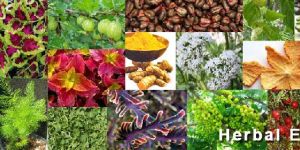 Herbal Extracts