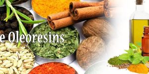 Oleoresins