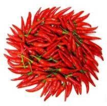 Fresh Red Chilli